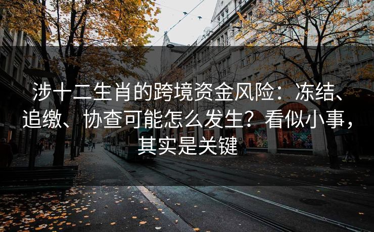 涉十二生肖的跨境资金风险：冻结、追缴、协查可能怎么发生？看似小事，其实是关键