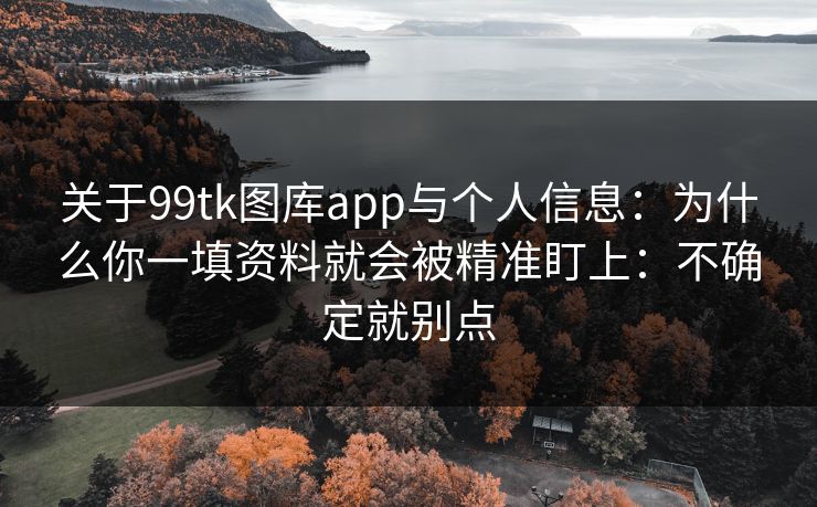 关于99tk图库app与个人信息：为什么你一填资料就会被精准盯上：不确定就别点