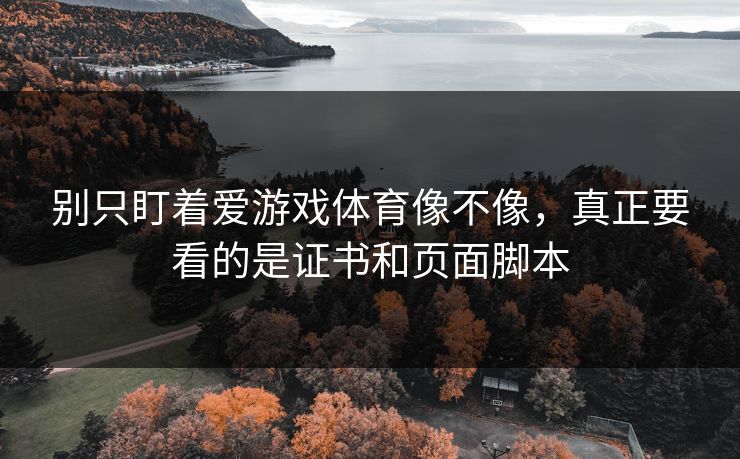 别只盯着爱游戏体育像不像，真正要看的是证书和页面脚本