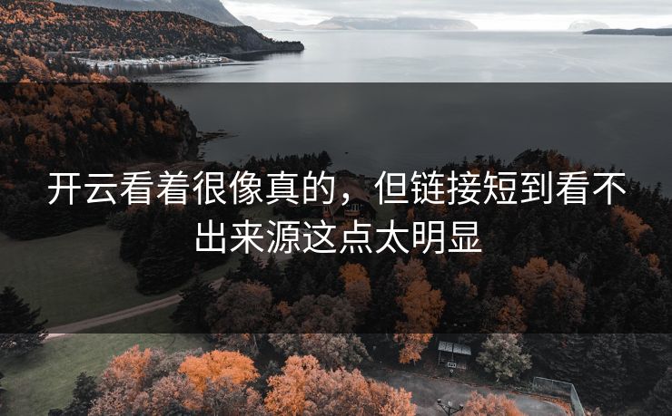 开云看着很像真的，但链接短到看不出来源这点太明显