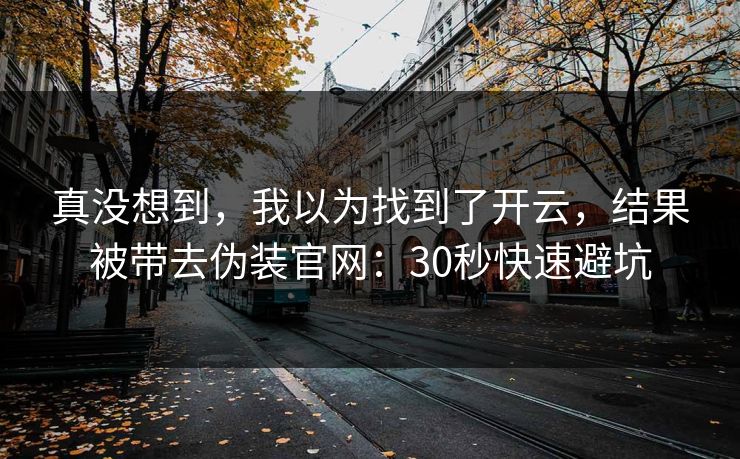 真没想到，我以为找到了开云，结果被带去伪装官网：30秒快速避坑