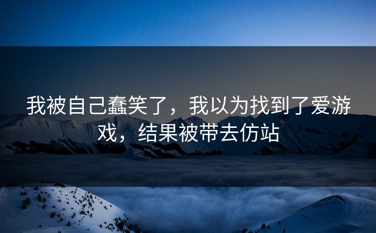 我被自己蠢笑了，我以为找到了爱游戏，结果被带去仿站