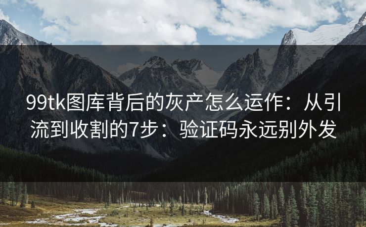 99tk图库背后的灰产怎么运作：从引流到收割的7步：验证码永远别外发