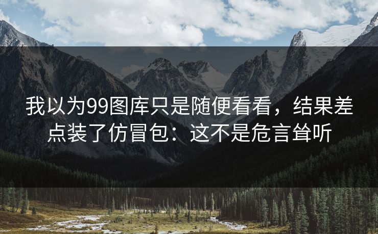 我以为99图库只是随便看看，结果差点装了仿冒包：这不是危言耸听