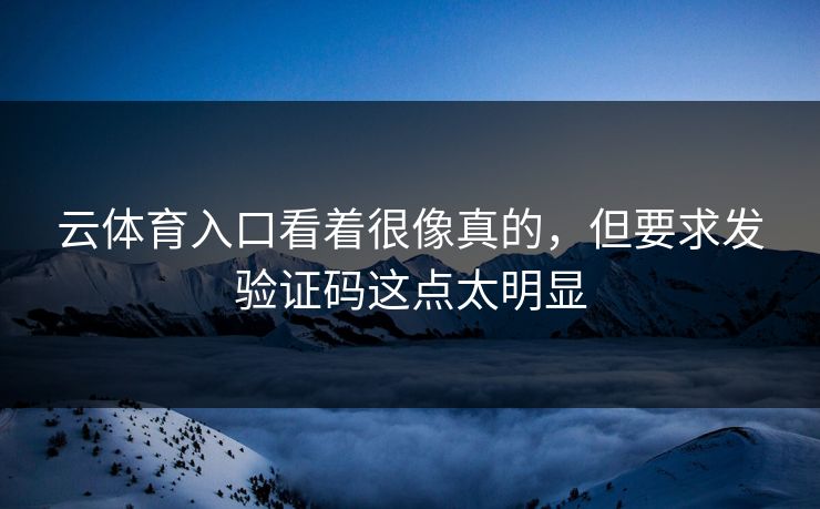 云体育入口看着很像真的，但要求发验证码这点太明显