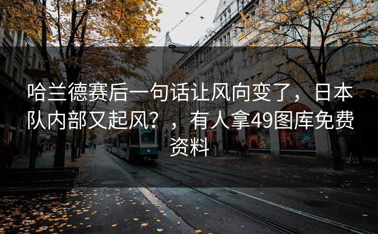 哈兰德赛后一句话让风向变了，日本队内部又起风？，有人拿49图库免费资料