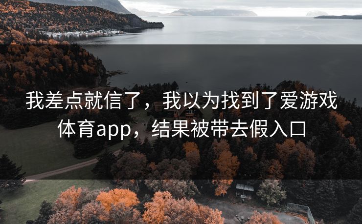 我差点就信了，我以为找到了爱游戏体育app，结果被带去假入口