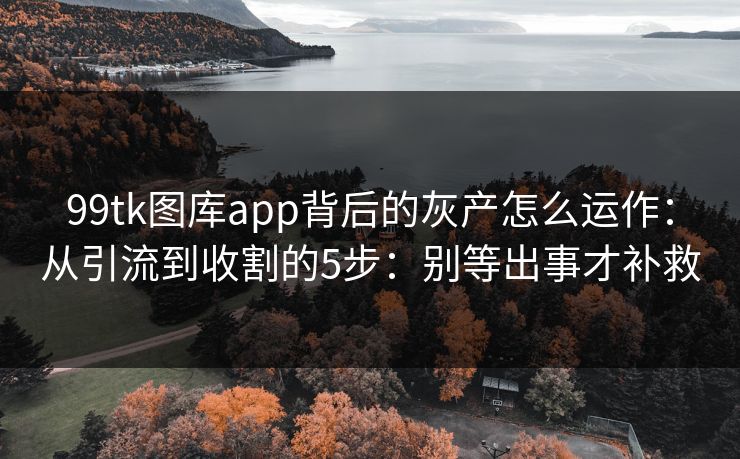 99tk图库app背后的灰产怎么运作：从引流到收割的5步：别等出事才补救