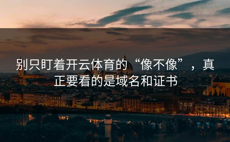 别只盯着开云体育的“像不像”，真正要看的是域名和证书